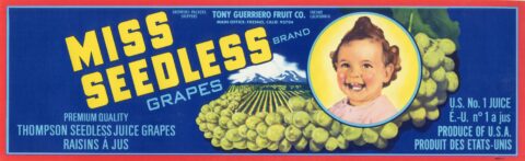 Miss Seedless